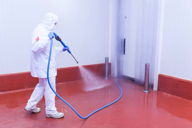 Best Winterizing Services  in Ruskin, FL